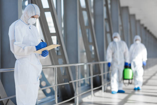 Best Black Mold Removal  in Fairport, NY