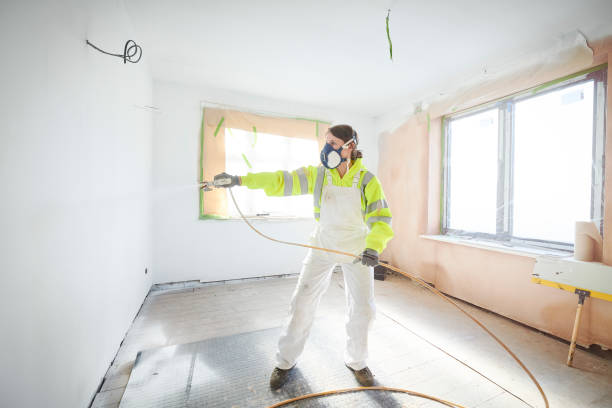 Fairport, NY Mold Removal Company