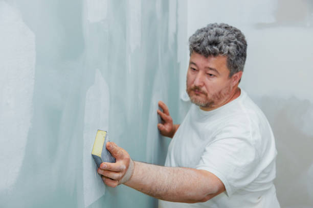 Best Mold Remediation for Vacation Homes  in Fairport, NY