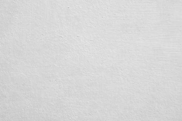 Best Emergency Mold Remediation  in Fairport, NY