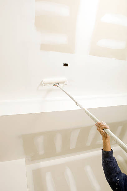 Best Mold Damage Restoration  in Fairport, NY