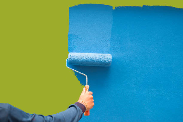 Best Mold Documentation for Insurance Claims  in Fairport, NY
