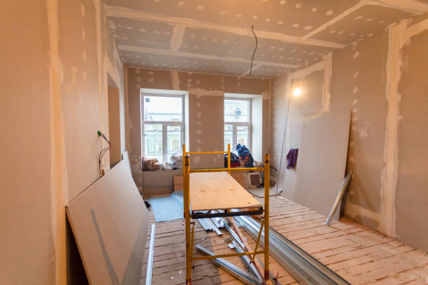 Best Biohazard Mold Removal  in Fairport, NY